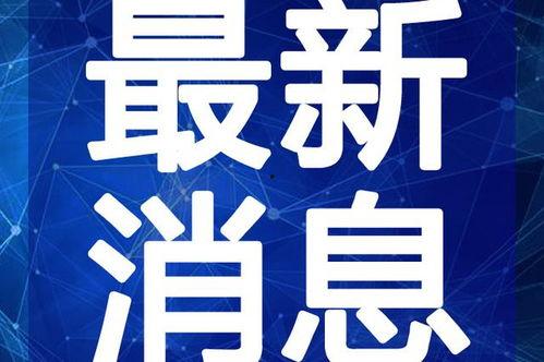 淮滨网友爆料事件视频最新,最新事件视频引发热议，真相究竟如何？